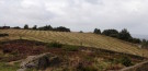 Hay Drying in Field, The Chevin